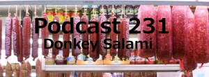 Podcast 231